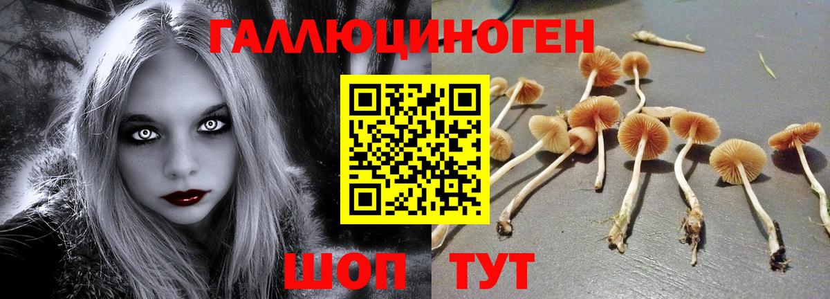 Псилоцибиновые грибы Magic Shrooms  Вход с VPN  Дербент 
